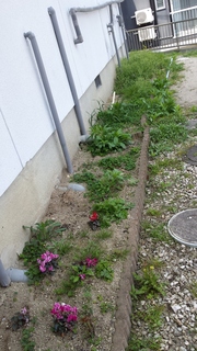 20150418_122839.jpg
