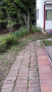 20150517_182955.jpg
